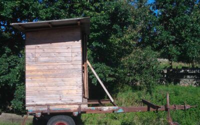 Aktion für Kids: Bauprojekt Jägerhütte